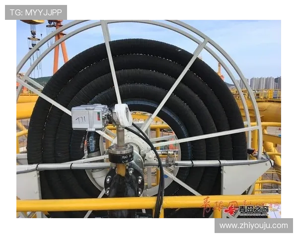 凯时首页入口：不同设备快速进入凯时首页的实用技巧