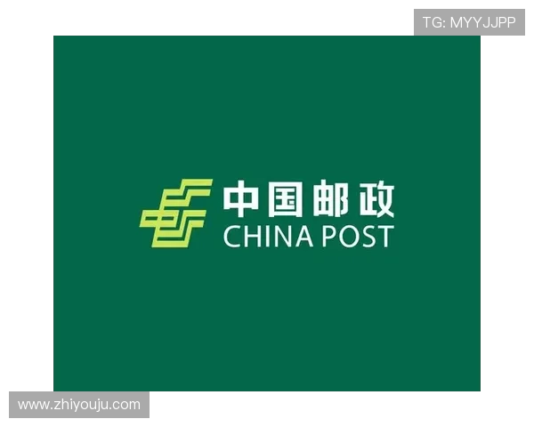 开云Kaiyun线上手机版操作指南详细解析，轻松掌握所有主要功能技巧